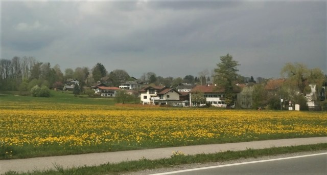 7956168904201470521-account_id=2 (2)