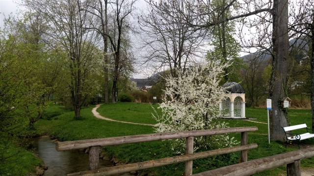 4836534628017574288-account_id=2 (2)